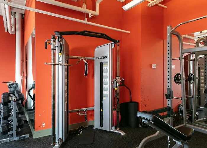 Downtown 3bd Penthouse Mich Views Gym #13 Apartment